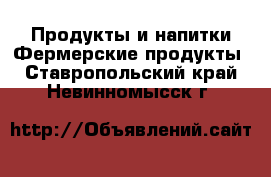 Продукты и напитки Фермерские продукты. Ставропольский край,Невинномысск г.